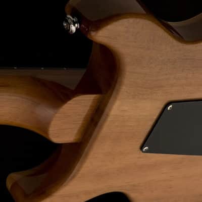Paul Reed Smith SE Santana - Santana Yellow image 4