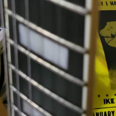 Edwards E-SG 60's SG Custom 2004 - Cream/white image 5