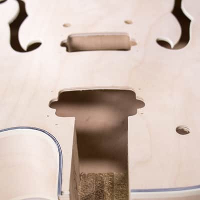 Hollow Body Electric Guitar Kit image 3