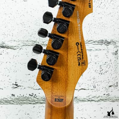 ESP LTD XJ-1 HT Electric Guitar Silver Blast imagen 7