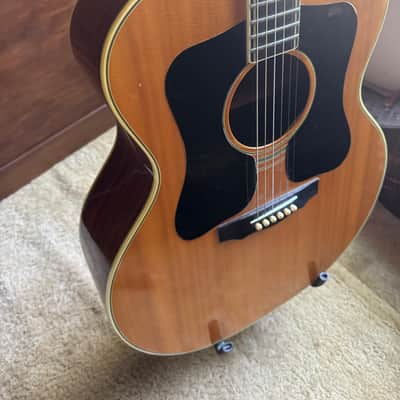 Immagine 1975 Guild F 50 R - 4