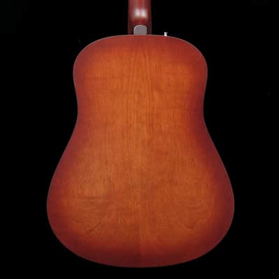 Seagull Entourage Autumn Burst Dreadnaught image 2