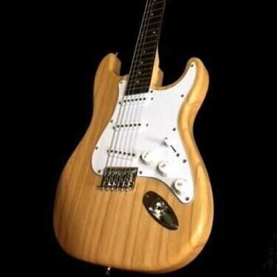 CUSTOM STRAT STYLE SOLID 12 STRING ELECTRIC GUITAR + GIG BAG image 4