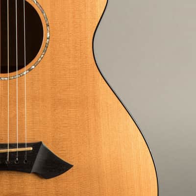 Breedlove SC25/MY 2002, Natural image 3
