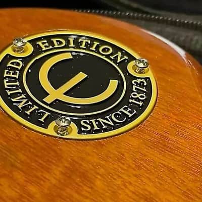 Epiphone Gold Guitar Toggle Switch Plate Cover image 2
