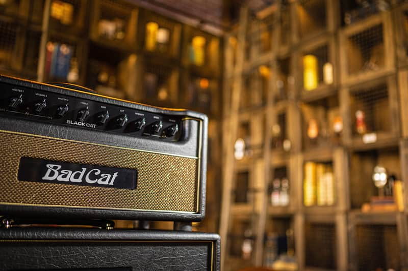 Bad Cat Amplifiers Black Cat Head 20W 2 Channel Amp Direct Ship image 1