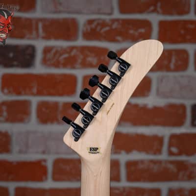 ESP Signature Series George Lynch Desert Eagle Black with Desert Eagle Graphic 2024 w/OHSC image 10