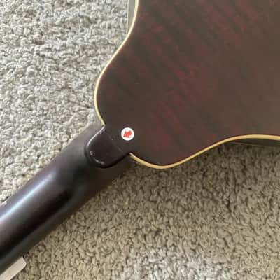 Sunburst 8 String Mandolin, Spruce Top Body, Mahogany Neck image 11