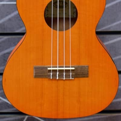Kala KA-TEM Exotic Mahogany Tenor Ukulele image 6