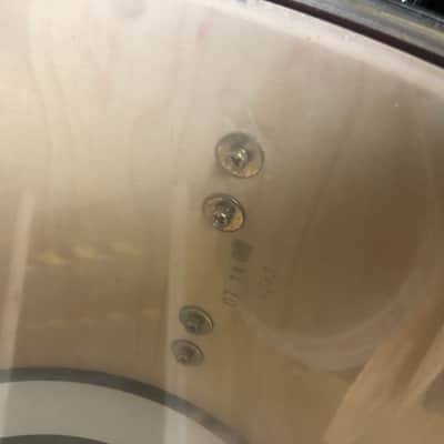 Ludwig ACCENT 5 Piece Shell Pack - Amber Gloss image 13