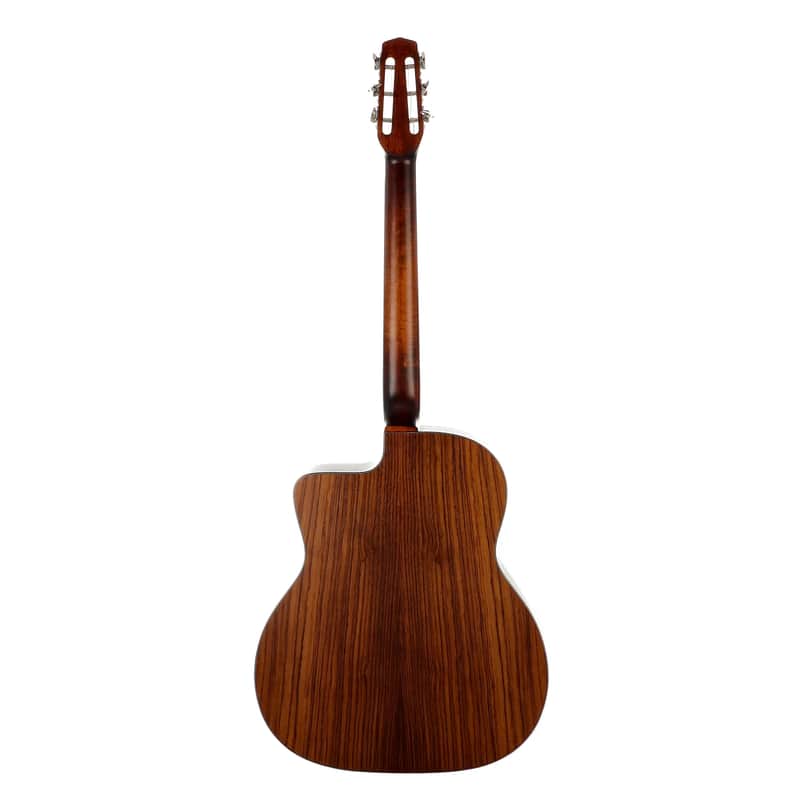 Eastman DM1 image 2