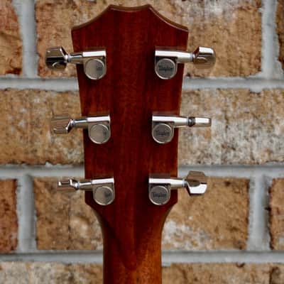 Taylor 414ce-R LTD Lily and Vine image 9