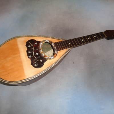 E. Zerega Bowlback Mandolin Brazilian 1900 image 1