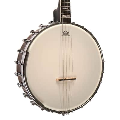Gold Tone Model IT-250 Irish Tenor 4-String Open Back Banjo with Case image 11