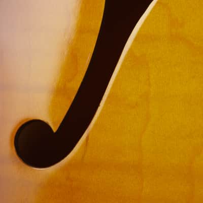 Gibson ES-335 Figured, Iced Tea | Demo image 7