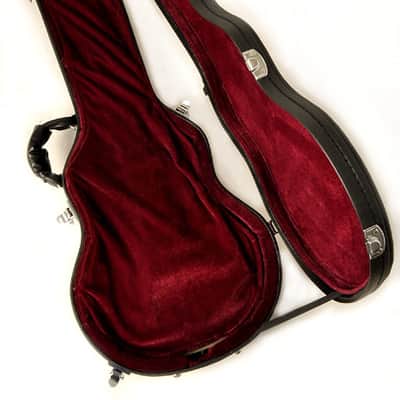 Douglas EGC-400 LP BK/Burgandy Case for Gibson & Epiphone Les Paul image 3