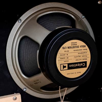 Metropolous Custom Order Speaker Cabinet Slant 4x12, Salt & Pepper w/ Celestion Blackback & G12H-30 Anniversary image 10