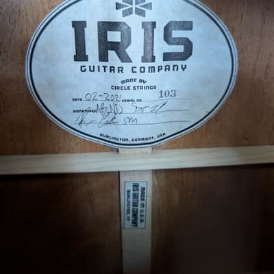 2021 IRIS DF Adi / Hog w/ EVO frets (VIDEO) image 9