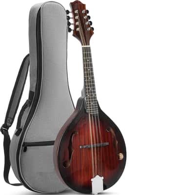 MORGAN MONROE BEAN BLOSSOM MANDOLIN WITH CASE Mandolin (Orlando