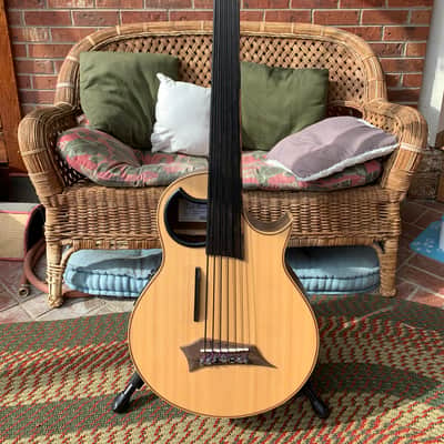 Warwick Alien 6 String Fretless Bass image 2