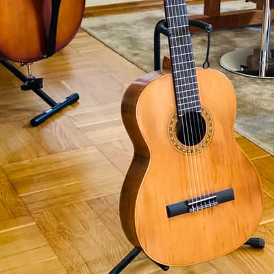 Tama TC 10 Concert Guitar 1979 image 9