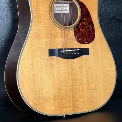 Santa Cruz Dreadnought - Gloss image 1