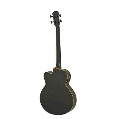 ARIA E. ACOUSTIC BASS 814MM GTR SCALE FRETLESS W/BAG Stained Black FEBF2M-FL-STBK image 2