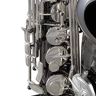 Selmer SAS711B Alto Saxophone Black Lacquer image 2
