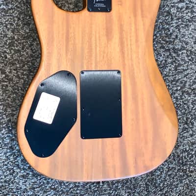 2019 Fender American Acoustasonic Stratocaster acoustic electric guitar made in the USA comes with a Fender gigbag image 4