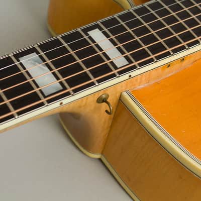 D'Angelico Excel Cutaway Arch Top Acoustic Guitar (1960), ser. #2117, original brown hard shell case. image 13