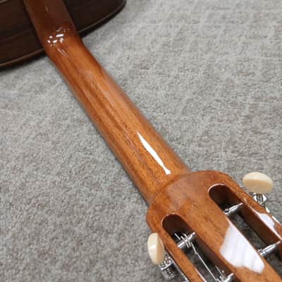 2024 Shelley D Park Rare Non-Cutaway Gypsy Jazz w/ Structured Gig Bag image 10