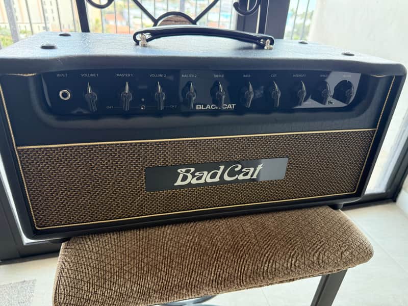 Bad Cat Black Cat Handwired Series 2-Channel 20-Watt Guitar Amp Head