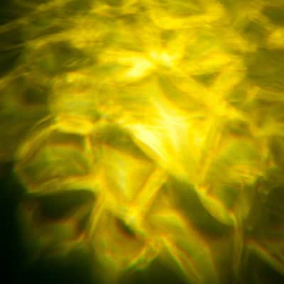 ADJ H2o DMX PRO IR image 7