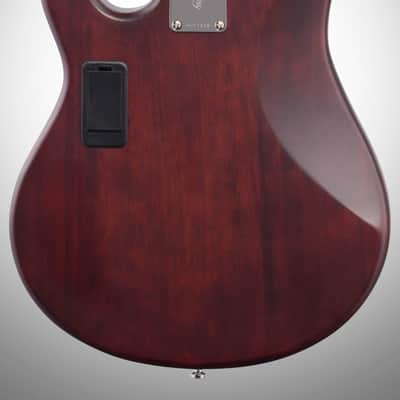 Sterling by Music Man Ray5 StingRay 5-String Electric Bass, Walnut Satin image 6