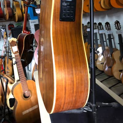 Très rare Washburn D-20 électro-acoustique fabriquée au Japon en 1984 par les ateliers Yamaki image 8