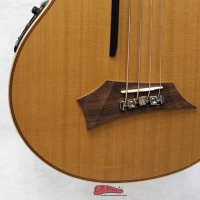 Warwick Alien Acoustic Bass Guitar image 3
