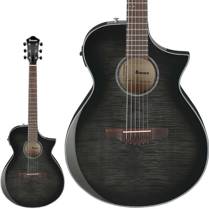 Ibanez [New Instrument Support Sale] [Limited Quantity Special Price] Ibanez AEWC400-TKS image 1