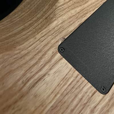 Washburn N4 Swamp Ash image 11