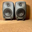Genelec 8030A 5" Powered Nearfield Studio Monitor (Pair) 2005 - 2013 - Gray