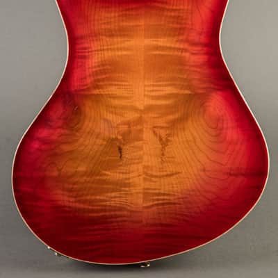 Baldacci Bighorn Hollowbody 2020, Sunburst image 7