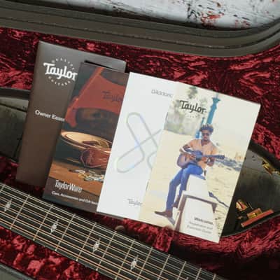 Taylor - (2025) 354ce - 12 String Acoustic-Electric Guitar -Sapele/Sitka - V-Class Bracing - Natural - w/ Hardshell Case - x5042 image 11