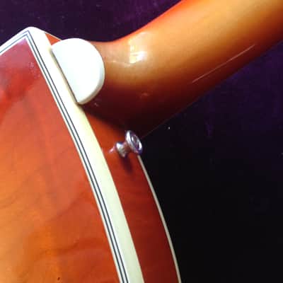 VINTAGE! Framus Billy Lorento 5/120 Feb 1961 Orange Burst The Real Thing! image 12