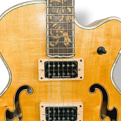 Blueberry Handmade Hollow Body Electric Guitar Rapunzel Motif image 18