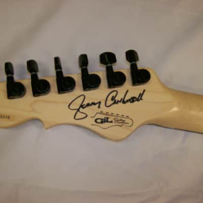G&L Rampage Jerry Cantrell "Blue Dress" Graphic #9 of 50 guitars | Reverb G&L Rampage Jerry Cantrell "Blue Dress" Graphic #9 of 50 guitars | Reverb