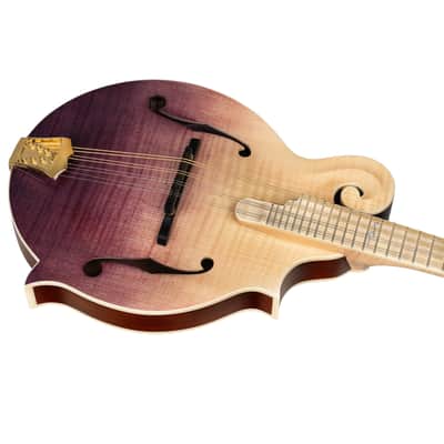 Ortega RMF200PF Americana Series F-Style Solid Flamed Maple Top Maple Neck 8-String Mandolin w/Croco Leather Case image 10