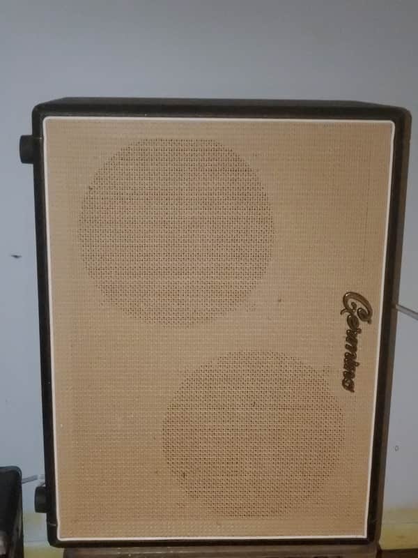 Germino 2x12 Cabinet with greenbacks image 1