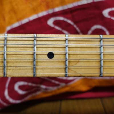 1981 Fender Telecaster with Maple Fretboard Blonde Yamano image 10