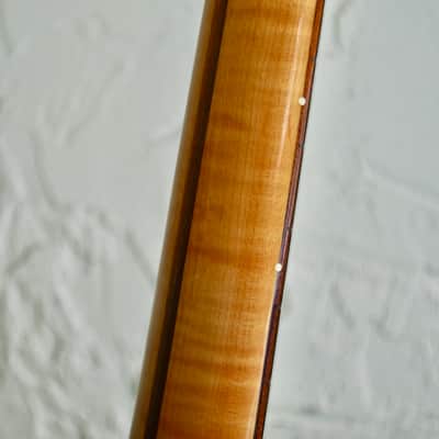 Fender Splattercaster image 10
