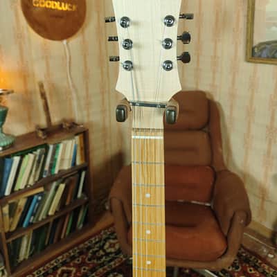 Roden Algina Style vintage USSR electric guitar strat tele image 3