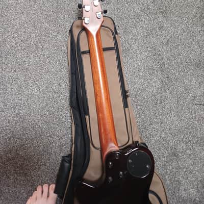 Godin xtSA 2010s - Light Burst image 8